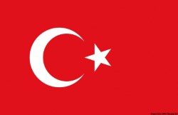 Flagge Türkey 20 x 30 cm 