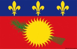 Флаг Гваделупы 30 х 45 см