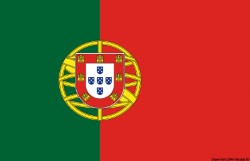 Vlag Portugal 30 x 45 cm