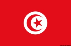 Bandiera Tunisia 20 x 30 cm 